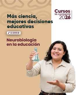 Cursos