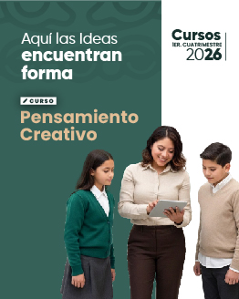 Cursos