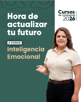 Cursos